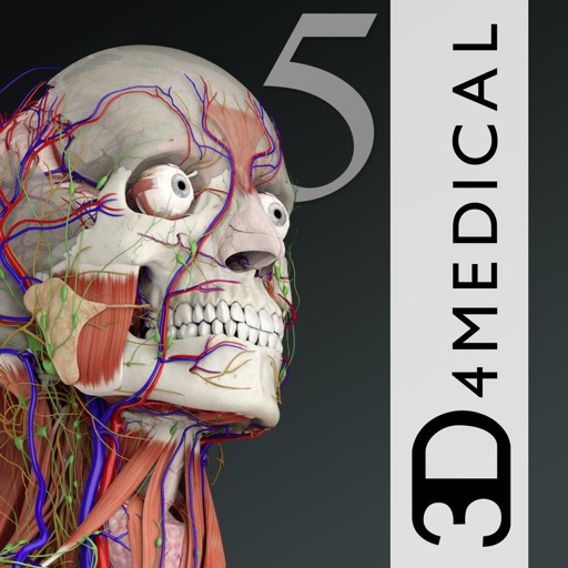 Ess. Anatomy 5